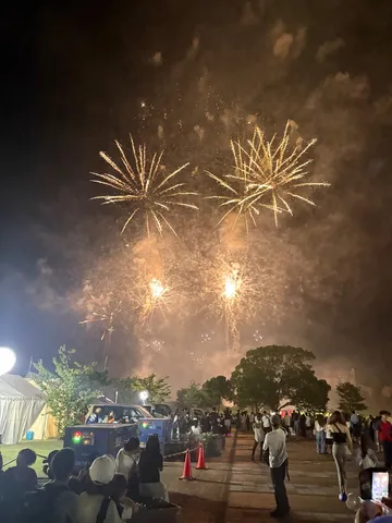 夜空に咲く金色の花