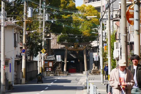 古都に響く、静寂の鳥居