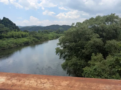緑深まる川辺の静寂