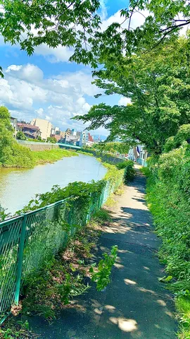 緑輝く水辺の散歩道