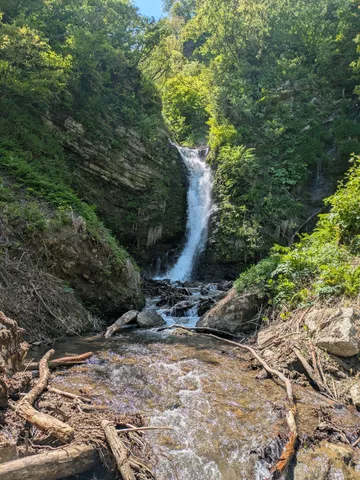 緑深き森の渓流、癒やしの水音