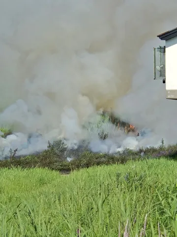 野火の煙、空へ舞う