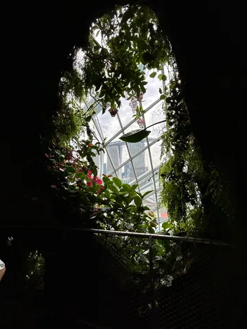 緑に包まれた窓からの光景