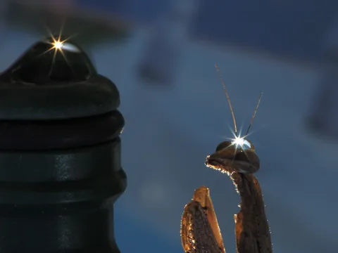 夜空の星と銀の輪