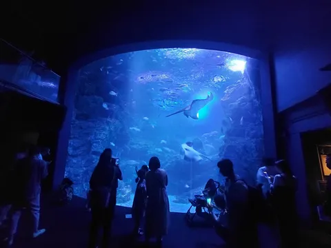 蒼い光に包まれて