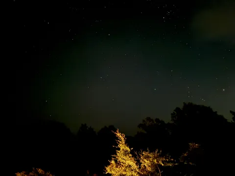 星空と灯る林の夜景