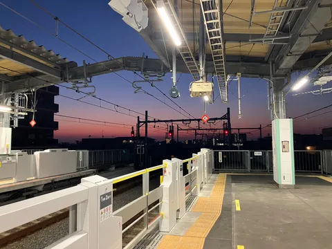 朝
