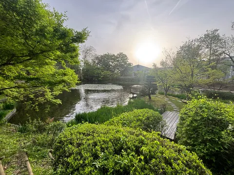 水辺に落ちる夕陽の庭