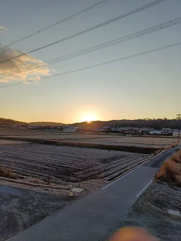 霜化粧の田園、朝の光