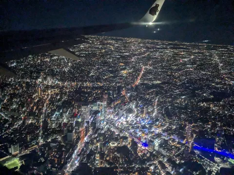 夜景に溶け込む翼、都会の光の絨毯