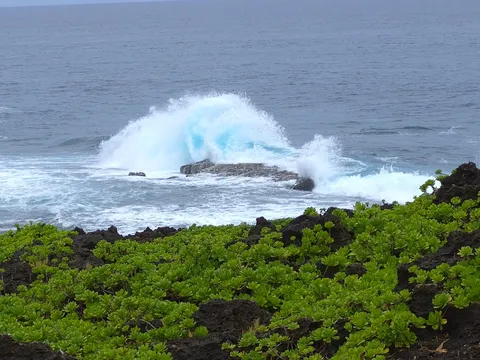 激しい波しぶきと緑のコントラスト