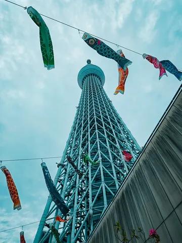 空へ伸びる鯉のぼり