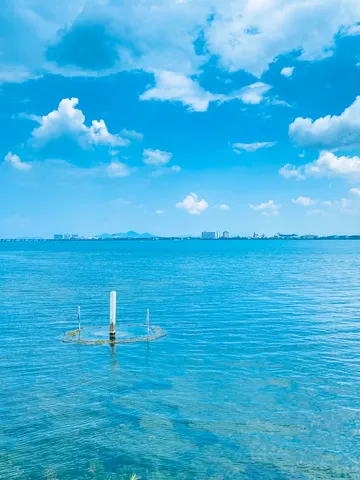 青い水辺の静かなオブジェ
