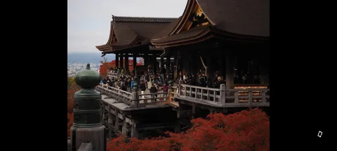 紅葉と木造の影絵