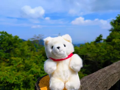 空と緑と、小さな冒険者