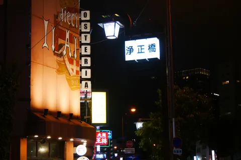 ネオンの光に包まれる夜の街
