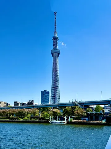 水辺にそびえる空への道