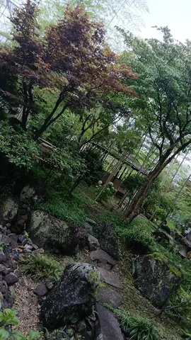 幽玄なる庭の調べ