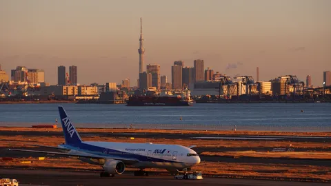 黄昏時の空港と東京のパノラマ