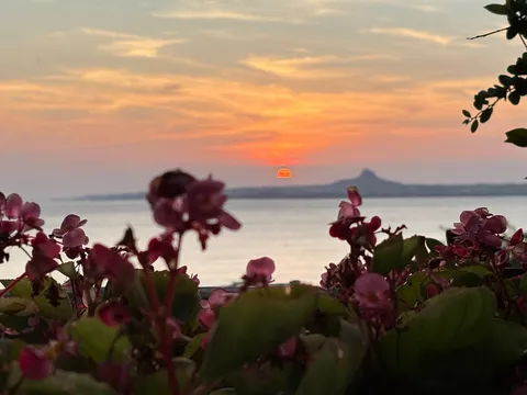 夕焼けと海、そして手前の花