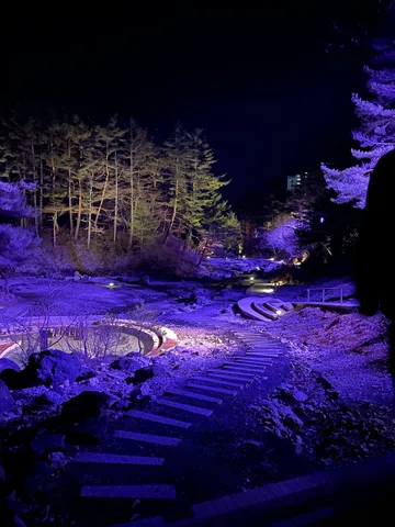 夜の庭に染まる静寂