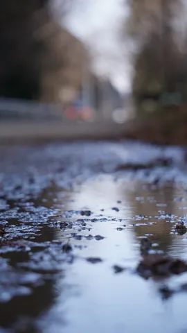 雨上がりの水たまり、映る世界
