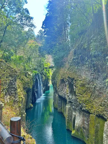 深淵なる水面と新緑の渓谷