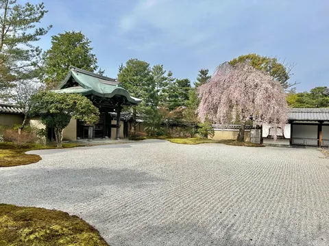 春風に揺れる和の庭