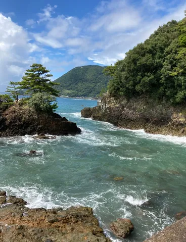緑と青のコントラスト、癒やしの海岸線