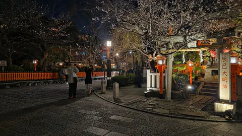 夜桜と神社の提灯