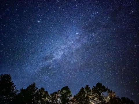 星空と木々の夜の記憶