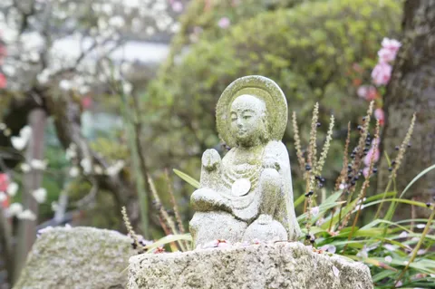 苔むす石仏と春の訪れ