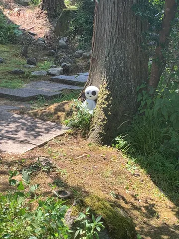 木陰からこっそり