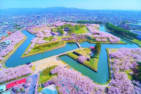 星形に咲き誇る桜の城郭