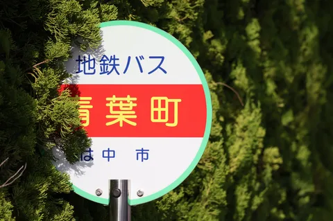 茂みからこんにちは、バス停です