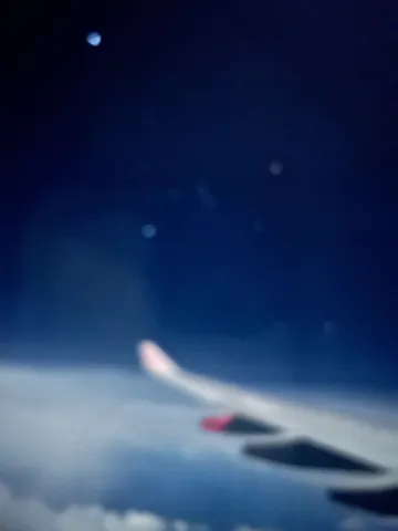 夜空に浮かぶ翼の影