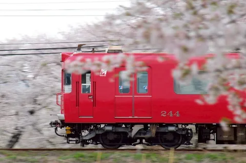 桜と疾走する赤い列車