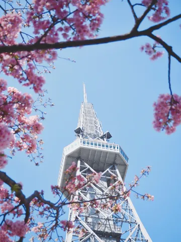 春の訪れ、タワーと桜