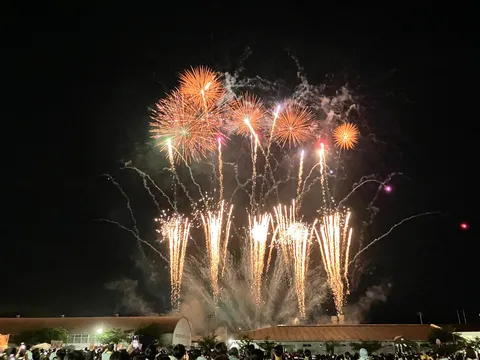 夜空を彩る華やかな光の饗宴
