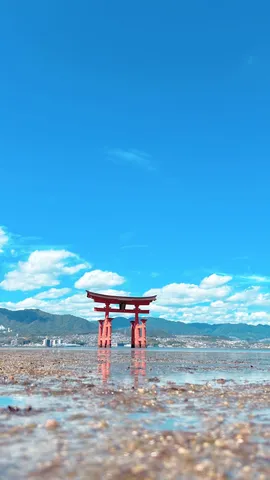 青空と海に立つ朱色の鳥居