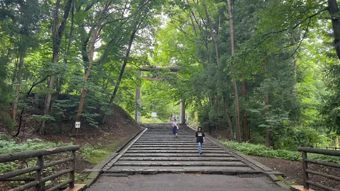 緑に包まれた古道、鳥居へと続く石段