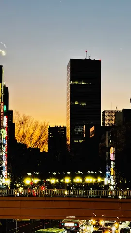 都会の灯りと夕暮れのグラデーション