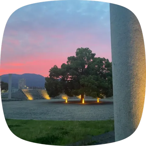 夕焼けに染まる大樹
