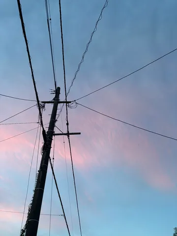 交錯する電線と薄明の空