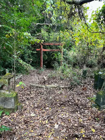 忘れられた森の鳥居