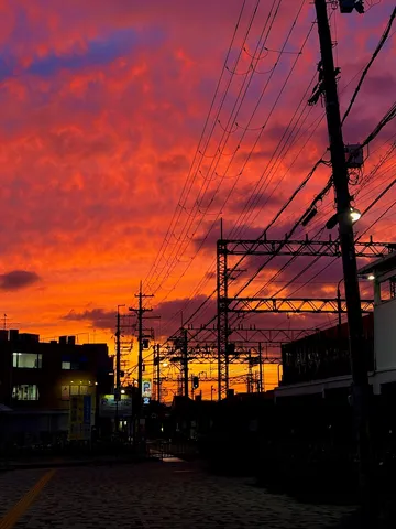夕焼けに負けない電線アート？