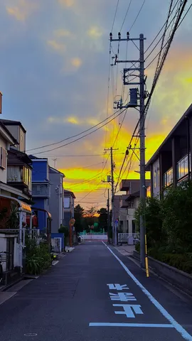 黄昏の街路と電線