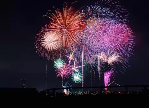 煌めく大輪、夜空を染めて