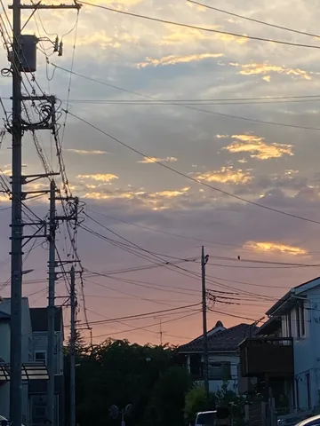 夕焼けと電線の織りなす空
