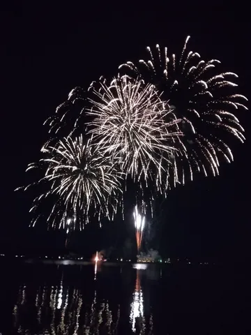 夜空に咲く光の花束